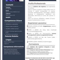 Ce,rco lavoro logistica