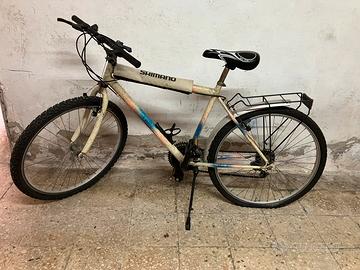 Bici mountbike