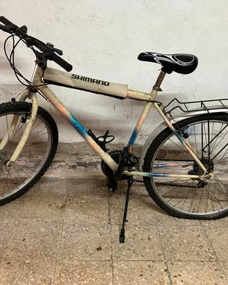 Bici mountbike