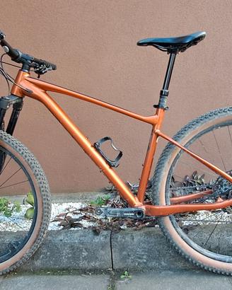 Giant Fathom 1 29 taglia L 