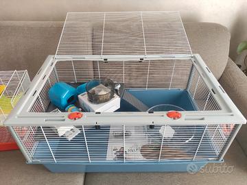 Gabbia Ferplast Criceti 80 + accessori + omaggio