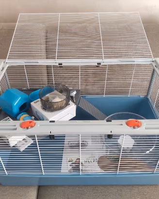 Gabbia Ferplast Criceti 80 + accessori + omaggio