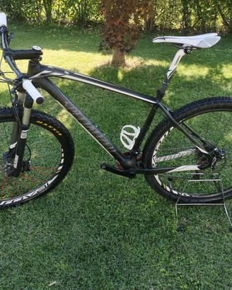 Specialized  carbonio tgL