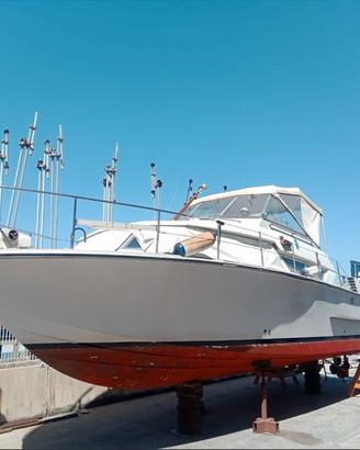Coronet 32 Botved + 2x220 Aifo DIESEL