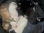 Immagine 1