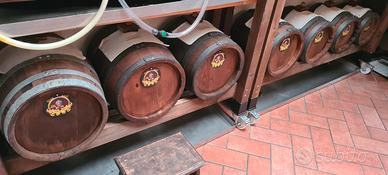 Batteria aceto balsamico 7 botti piene 63 anni