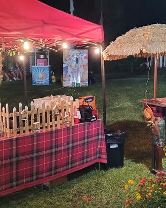 Attrezzature per feste in giardino 