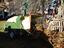 Immagine 2