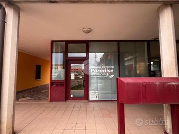 ATTIVITÀ A PESCHIERA DEL GARDA