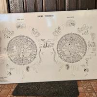 POSTER QUADRO MEDICINA NATURALE VINTAGE IRIDOLOGIA