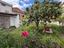 Immagine 27