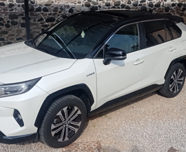 Toyota rav4 style 2019