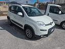 fiat-panda-1-3-mjt-95-cv-s-s-4x4