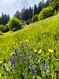 Primavera in baita