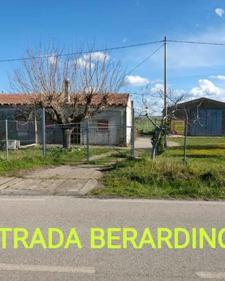 Campagna terreno