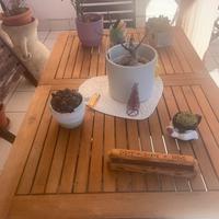 Tavolo da esterno in legno e 4 sedie