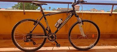 BOTTECCHIA FX500