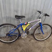 Bici Mountain bike ruote 26 