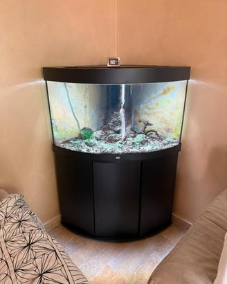 Acquario Juwel 150 litri angolare con accessori