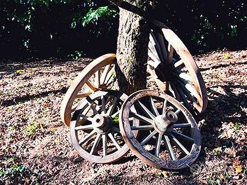 Ruote originali di vecchi carri agricoli anni '50.