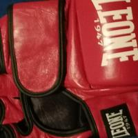 Guanti MMA Leone 1947 Contest Taglia L,4oz