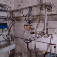 sala mungitura con trasporto latte