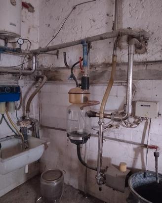 sala mungitura con trasporto latte