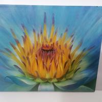 DIPINTI OLIO SU TELA 50X60