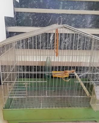 gabbia per uccellini