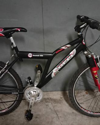 Mountain bike 