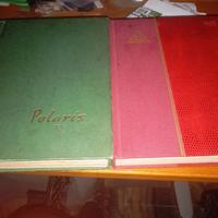 2 raccoglitori 40 PG totale Italia rep.