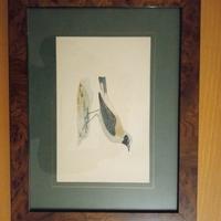 quadro d'epoca con uccello