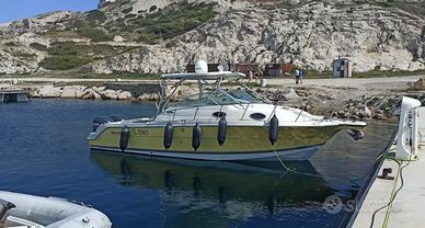 WELLCRAFT 290 COASTAL