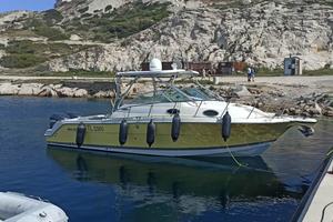 WELLCRAFT 290 COASTAL