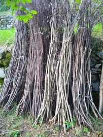 Fascine di legno 