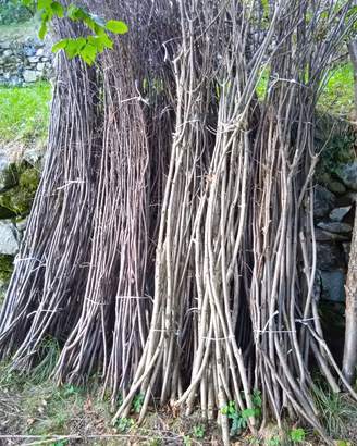 Fascine di legno 