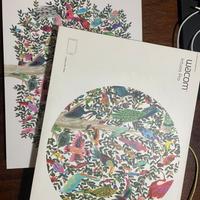 tavoletta grafica Wacom Intuos Pro