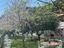 Immagine 29
