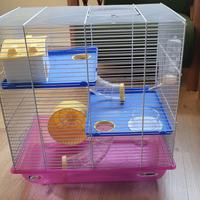 Gabbietta Criceti/Orsetti siberiani