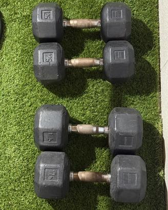 Manubri pesi: Manubri 12,5kg + Manubri 17,5Kg
