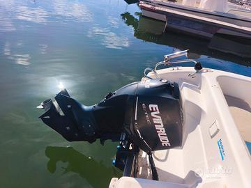 evinrude e-tec 90 del 2012