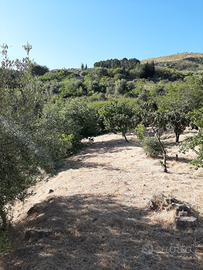 Terreno Agricolo