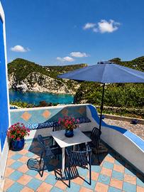 Ponza monolocale vista mare