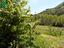 Immagine 28