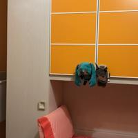 per trasloco cameretta per ragazzi