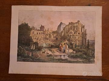 stampa antica dell' Arena di Trieste 
