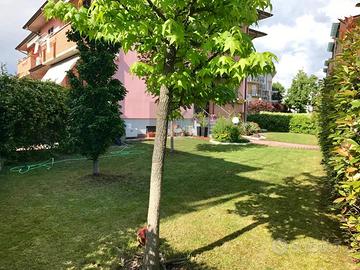 Trilocale con giardino privato