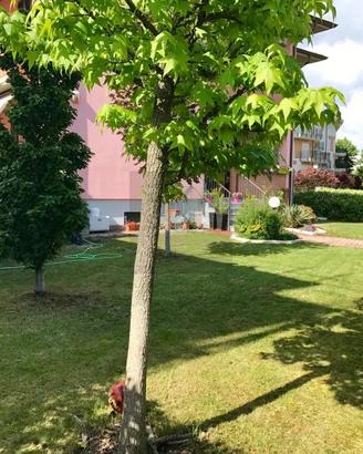 Trilocale con giardino privato