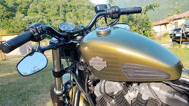harley  forty eight  1200 verde 
