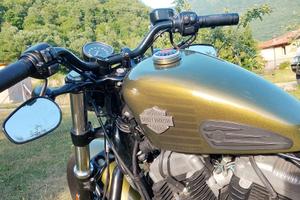 harley  forty eight  1200 verde 